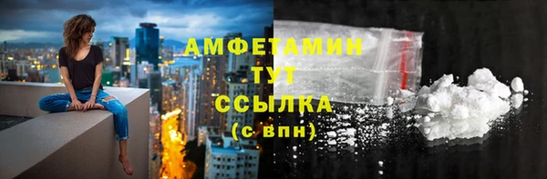 прущие грибы Дмитриев