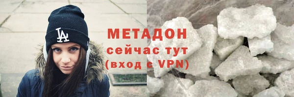 прущие грибы Дмитриев