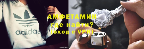 прущие грибы Дмитриев