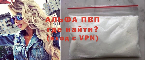 прущие грибы Дмитриев