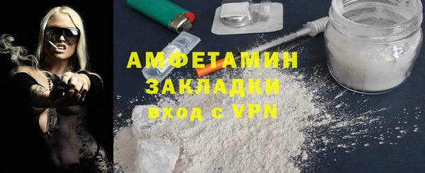 прущие грибы Дмитриев