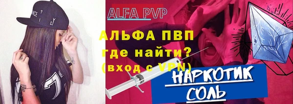 прущие грибы Дмитриев