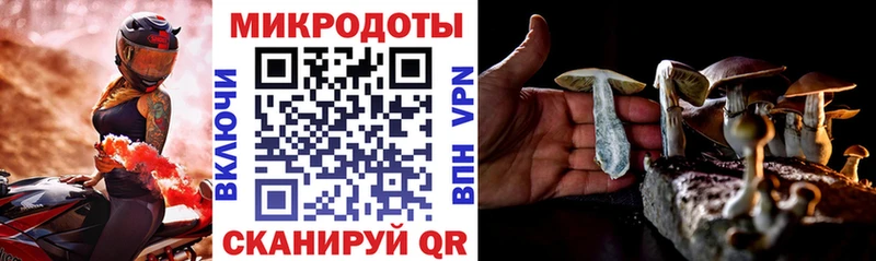 Купить  Отрадная  Галлюциногенные грибы Psilocybine cubensis 